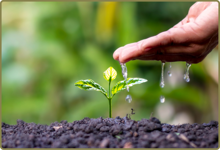 Projet d’agriculture durable pour l’autonomie des communautés